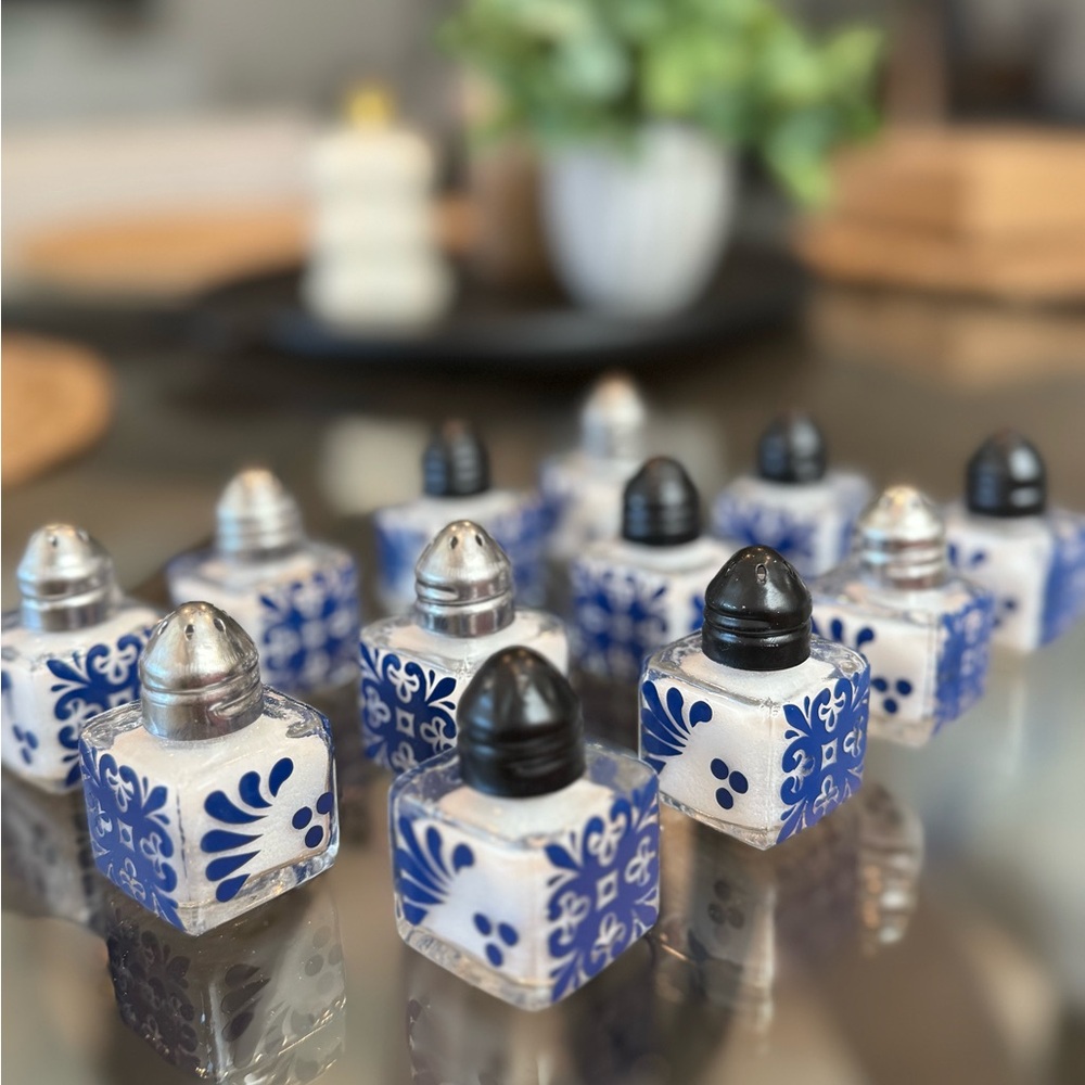 Blue and White Ceramic Salt and Pepper Shakers